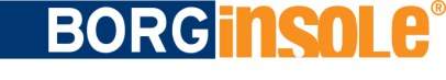 logo-borginsole